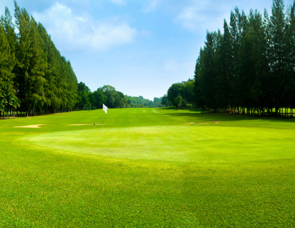 “Scenic golf course with lush greens and clear skies, representing the Professional Group $1 Golf Challenge 2025 and a day of friendly competition and camaraderie.”